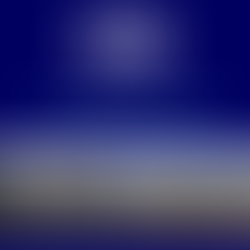 2019 Jaffa Institute Annual report