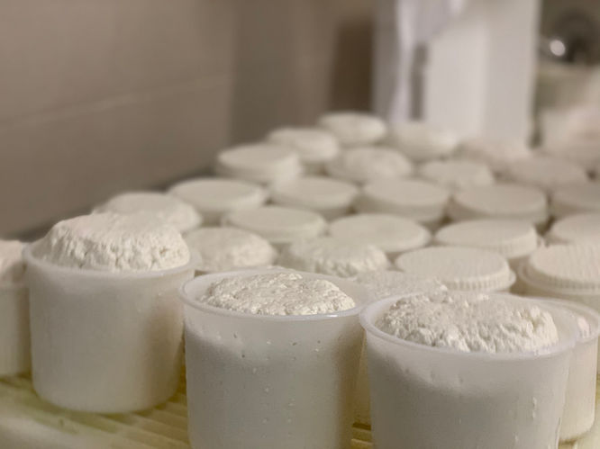 Visit a local producer for a cheese tasting