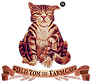 logo-kocka-male-s-RR.png