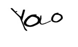 yolo