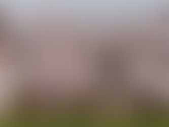 Kilmeena V Breaffy Homeland U16 Boys League Div 2 2019-04-09