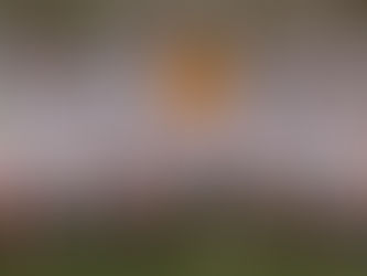 Kilmeena V Swinford Mayo Adult Junior League Div 3 2019-04-27