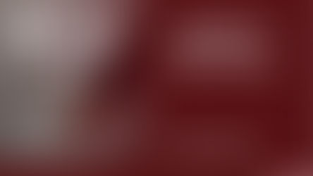 Complaints to the LSRA in Estate Matters