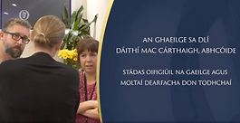 Cláir Faisnéise Theilifís an Oireachtais