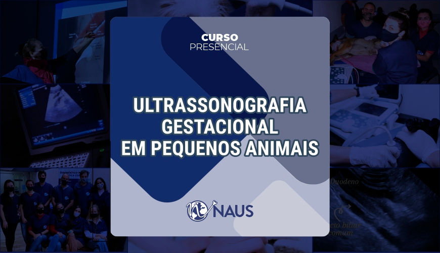 Curso Presencial de Ultrassonografia Gestacional (1)