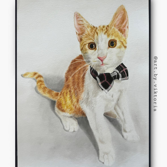 Zeichnung einer Katze mit Farbstifte.