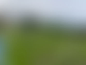 Fotobericht Dorfgarten Grabs – Ein Leuchturm der Permakultur + der CH PK-Regiogruppen