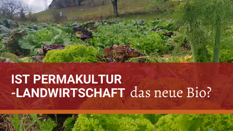 Ist Permakultur-Landwirtschaft das neue Bio?