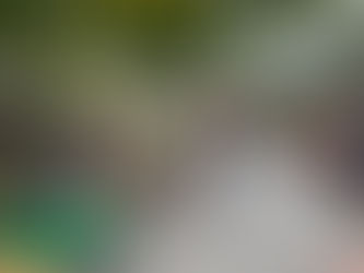 Rückblick Permakultur Festival 2024