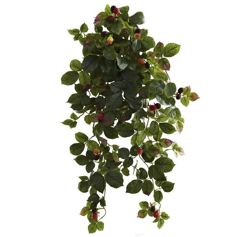 Raspberry Hanging Bush with Berry (Set of 2)