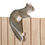 Thumbnail: CLIMBING CHIP SQUIRREL DECOR