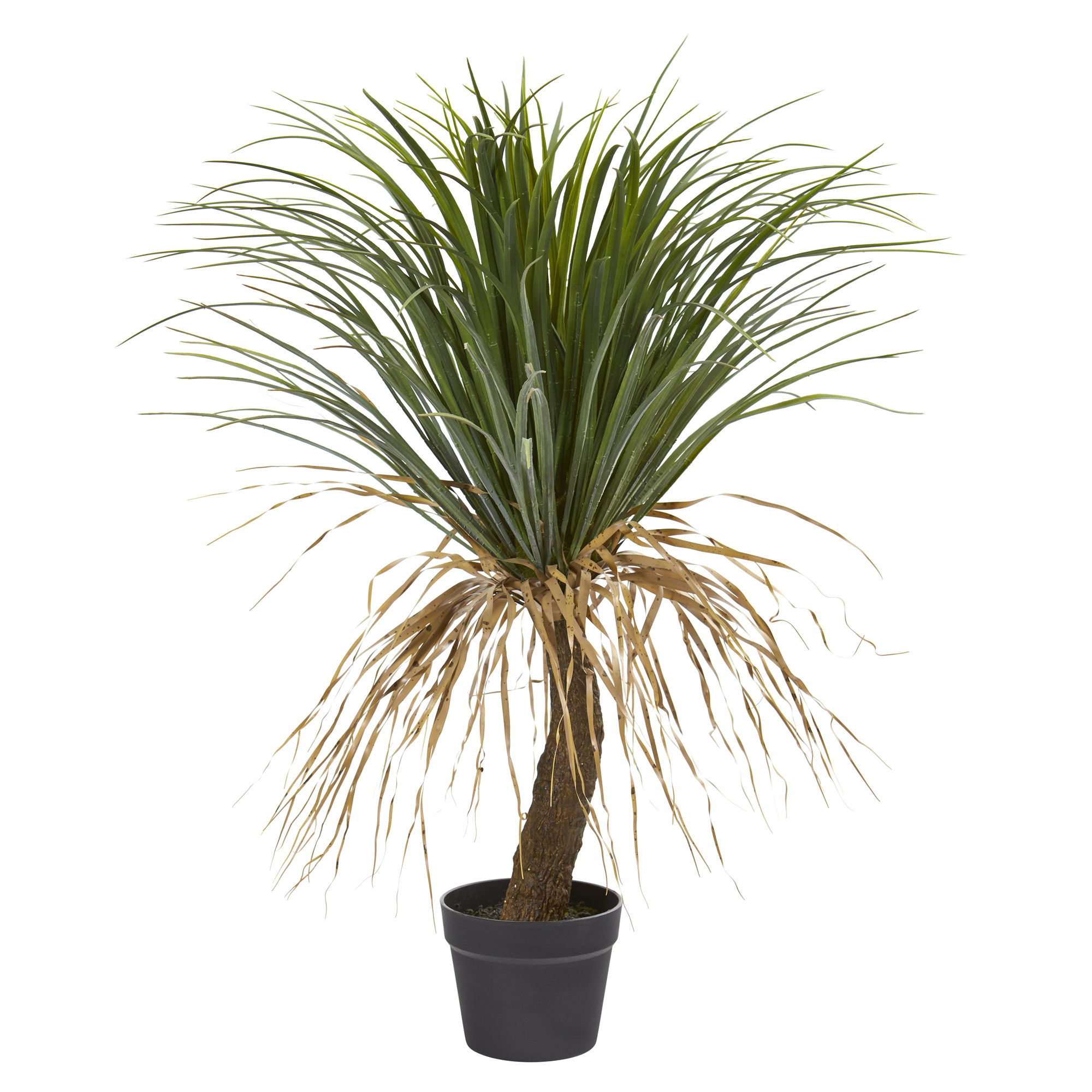 3' Molina Artificial Plant