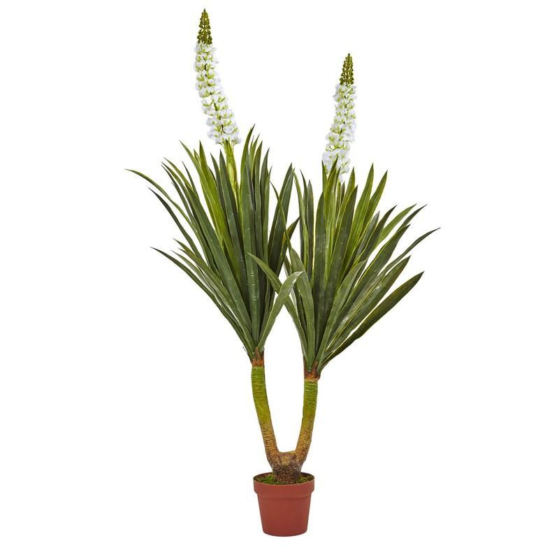 57" Flowering Yucca Plant