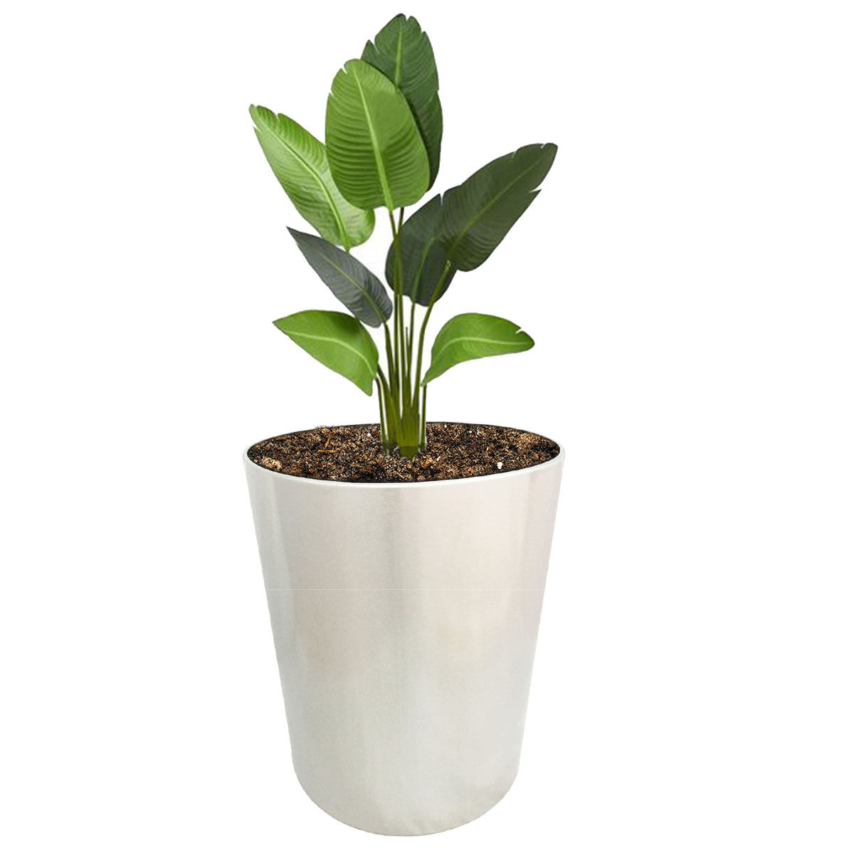 Maceta cilindrica en acero inoxidable con ruedas