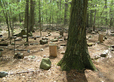 labyrinth.gif