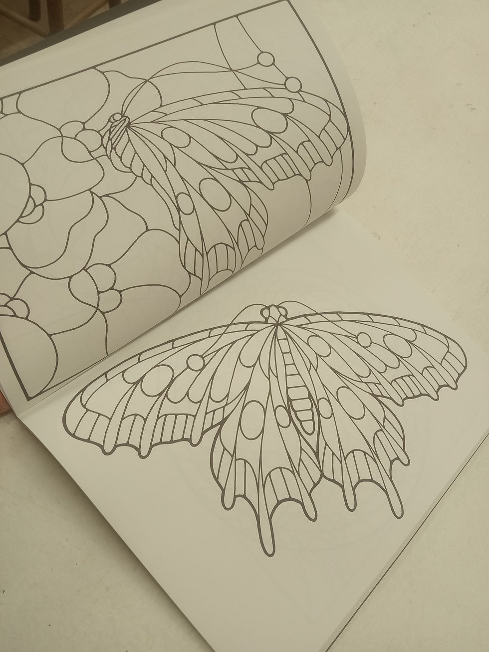 Miniatura: Birds and Butterflies Stained Glass Pattern Book