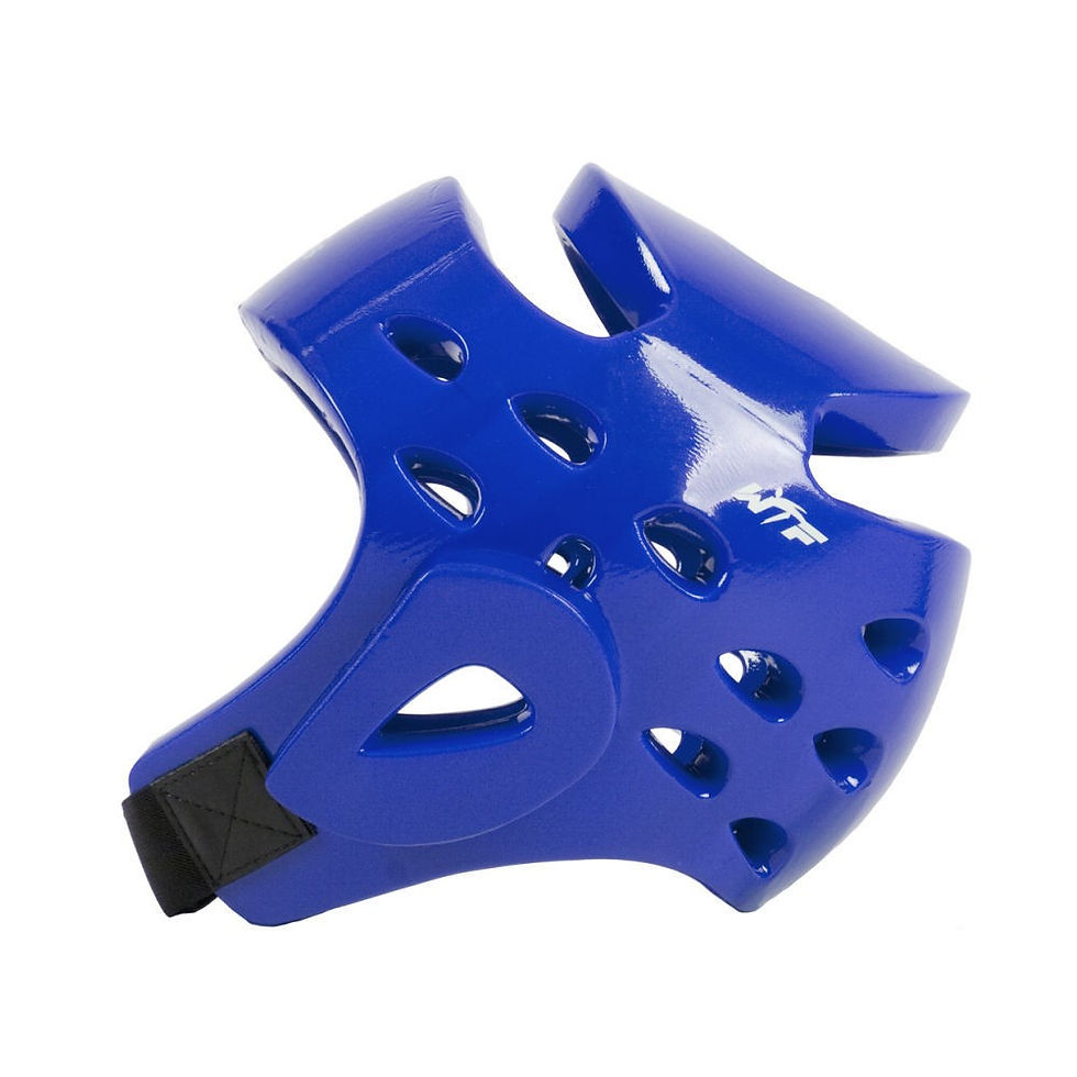 Thumbnail: Adidas Head-guard - WTF Approved