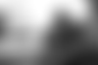 Памятник Чечеточнику