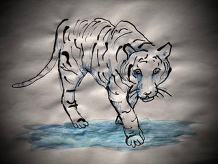 2022: Year of the Water Tiger