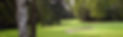 header_platz.jpg