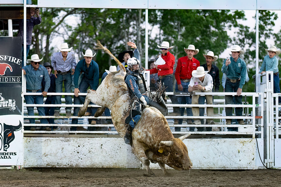 Davis Young (R.) winning ride on LSB Sons of a Junkie