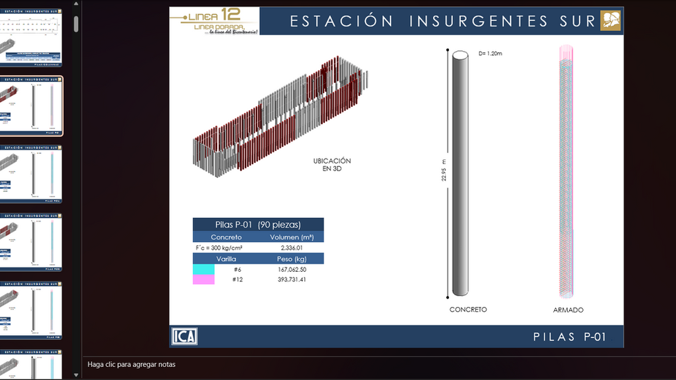 Proyecto Línea 12