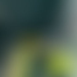 Integrando Procesos: De la Oficina a la Obra