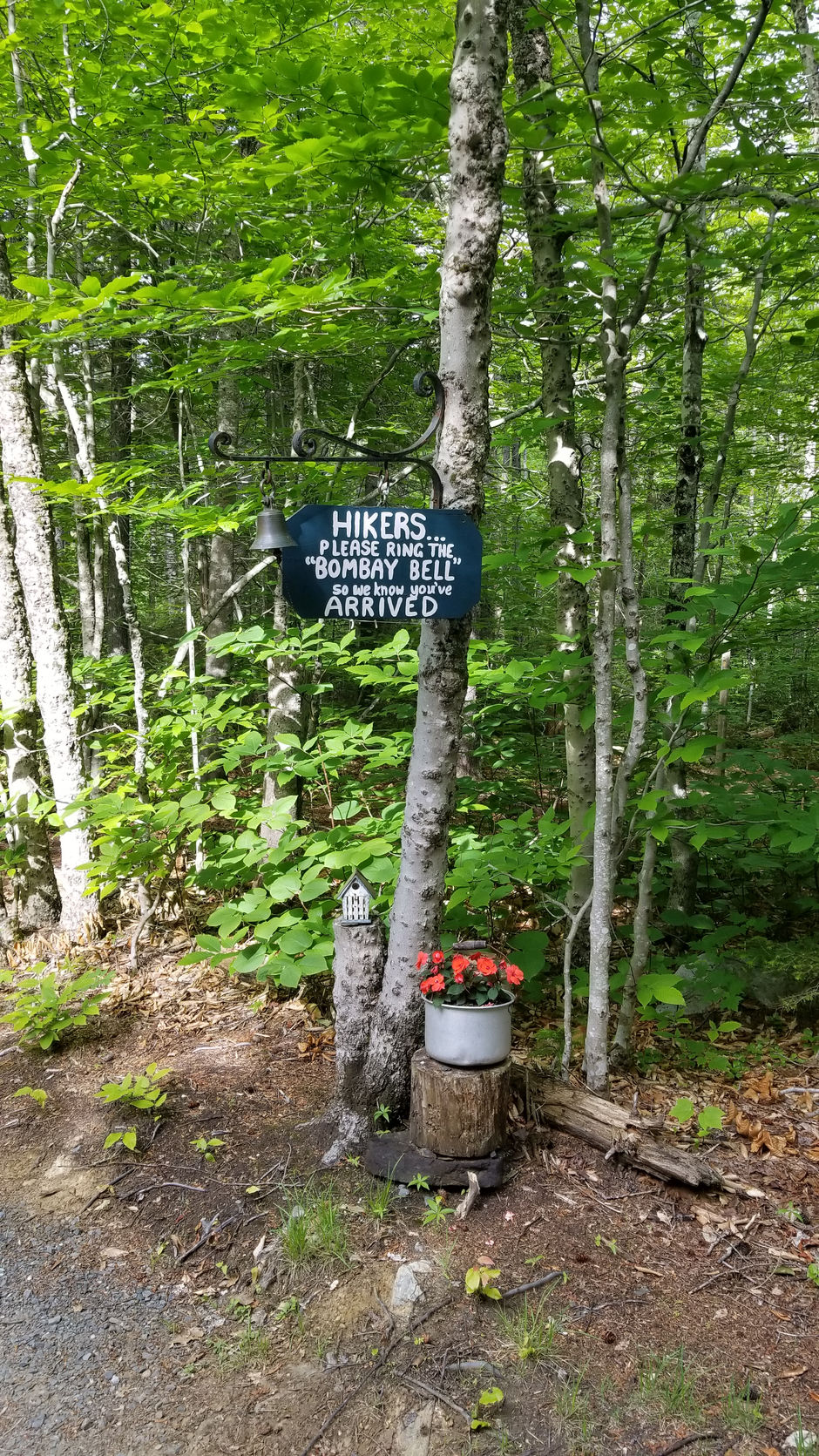 Time for something New (like Hampshire)