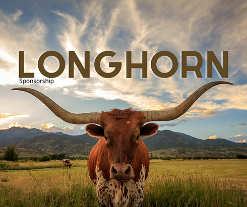 Longhorn (1).png