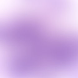 LFL Weekly News (Week of 2/12/2023)