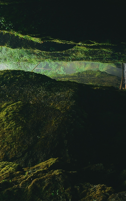 foto-Mossy gorge_edited.png