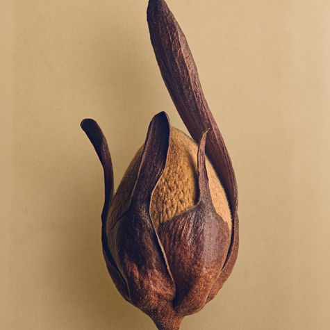 Breathwork Integration & Aftercare Guide