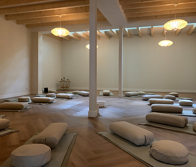 Interdisciplinary Conference on Psychedelic Research