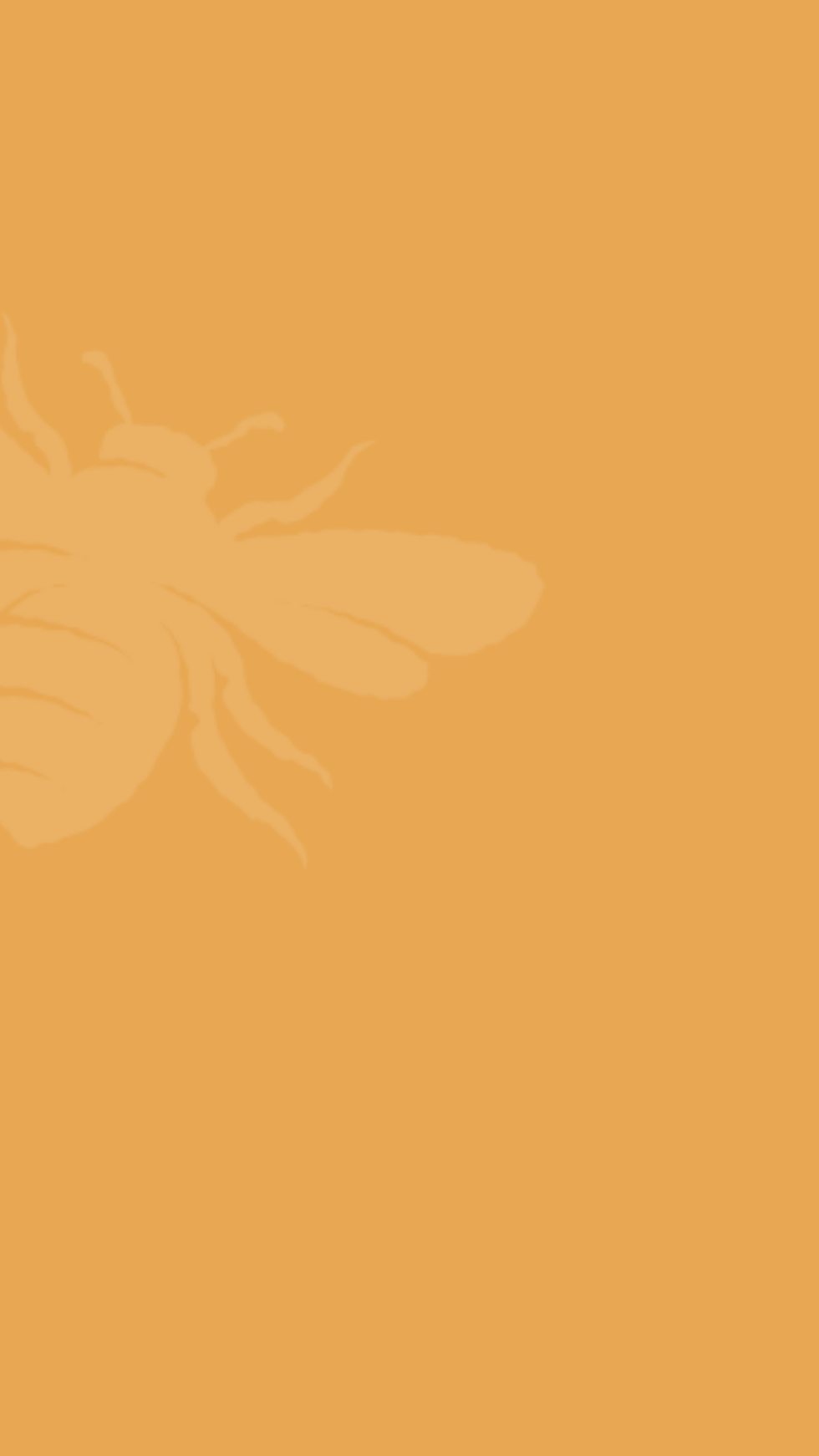 thehive_beeservicebackground.png