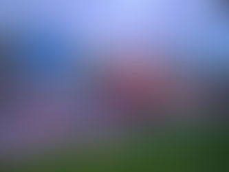 Summer Magic: Your Ultimate Guide to Miami