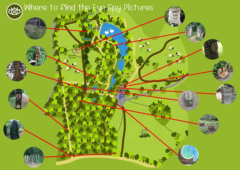 Eye Spy Answers.png