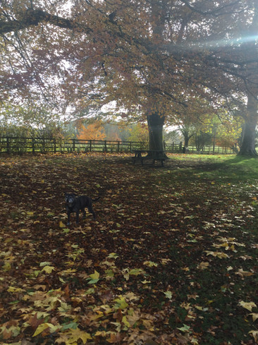 image00118.jpeg