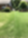 Comparison of a well maintained lawn vs not