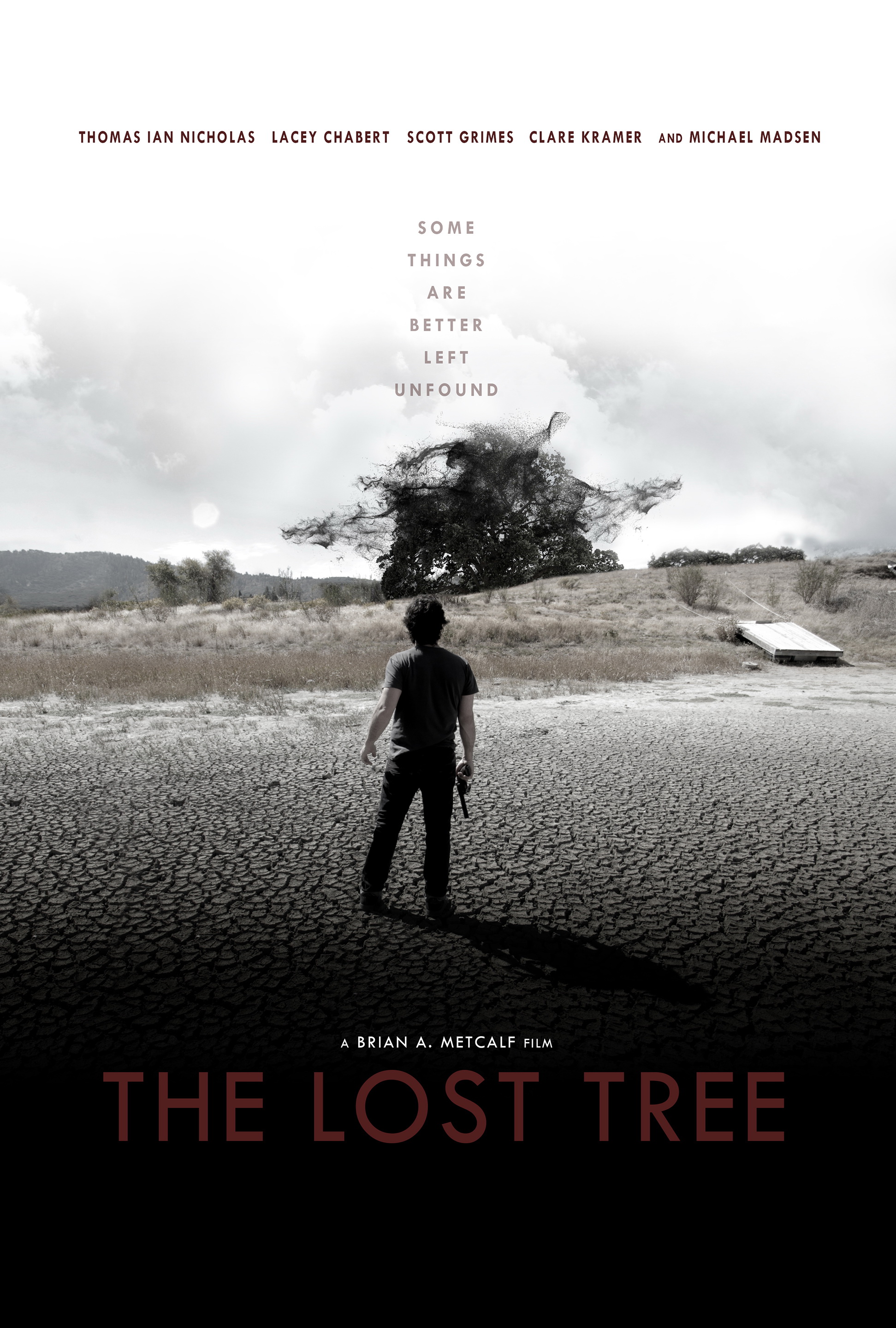 lostTree_3_hr