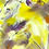 Thumbnail: “Wild abandon” Iris, 2012