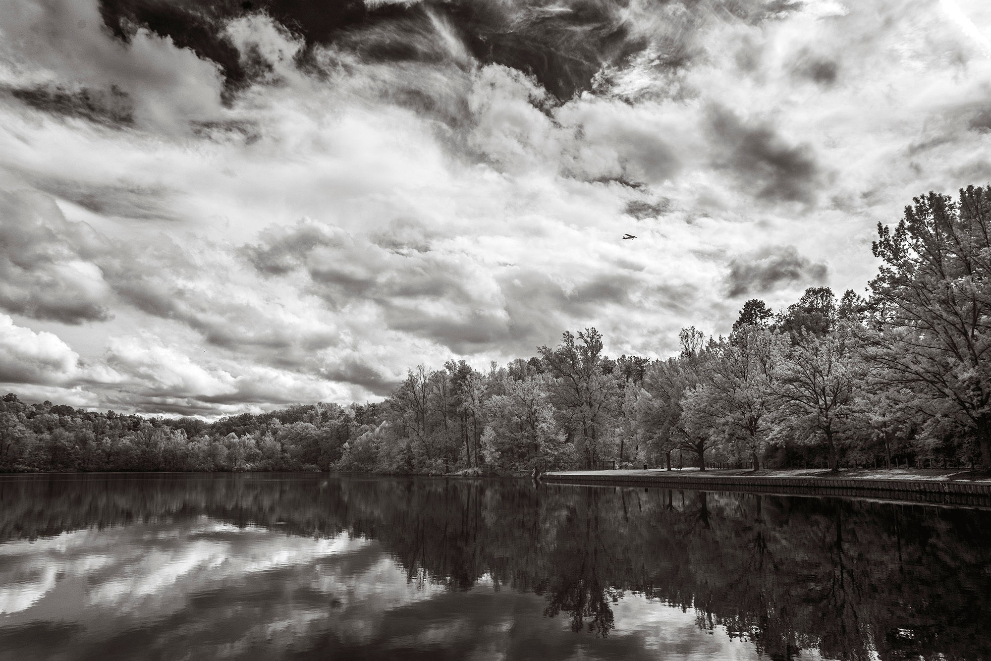 Winston Lake Park, 2018
