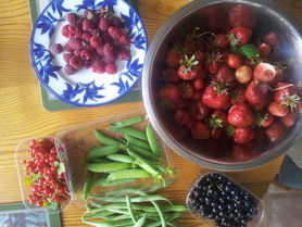 Picking Produce