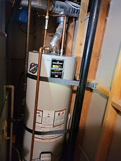 Resized_20210212_181553.jpeg