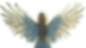 Angel Woman with Feathered Wings, Mystical Composition, Turned Back - Edited.png