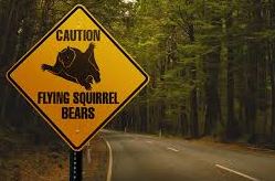 Flying Bear Road Sign