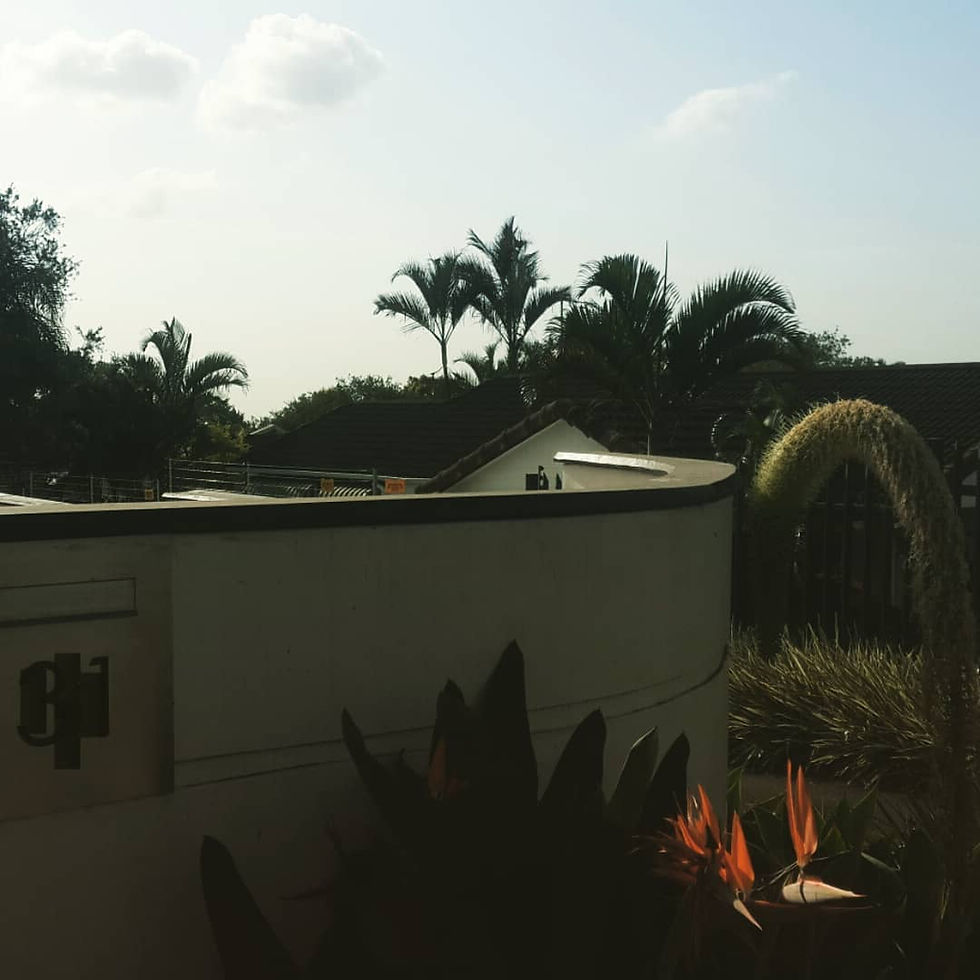 ibuthops-photo-2022_04_18_12_00