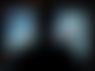 Between Blind Trust and Total Distrust: Navigating Fake News in a Polarised World