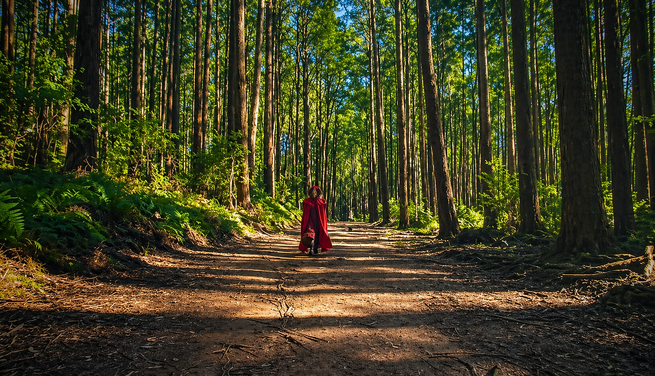 edited me walking in the forest.png