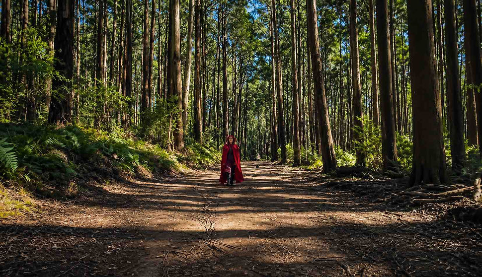 me walking in the forest_low res.jpg
