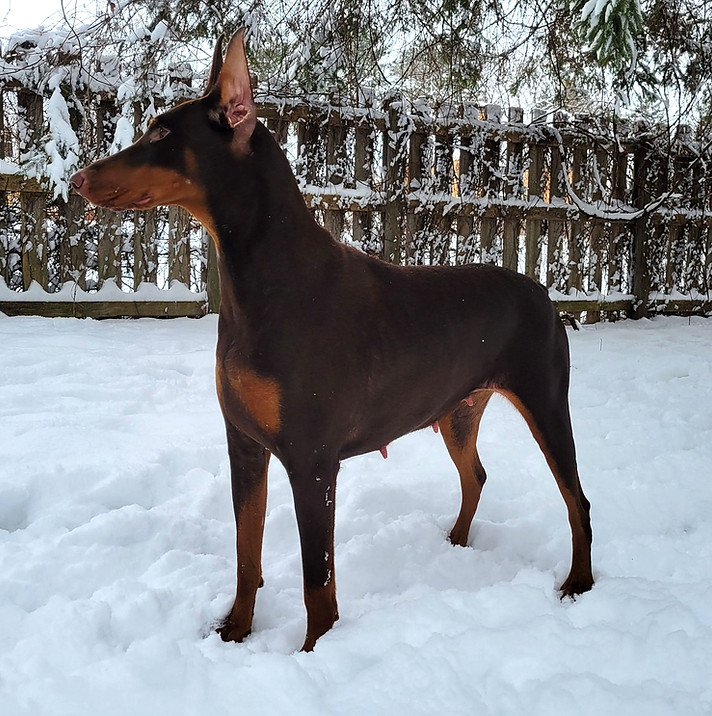 504742174_2881317242050540_1049539938957